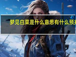 梦见白菜是什么意思有什么预兆