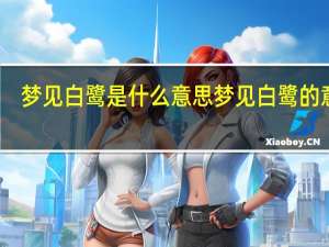 梦见白鹭是什么意思 梦见白鹭的意思