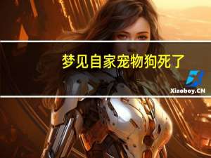 梦见自家宠物狗死了