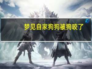 梦见自家狗狗被狗咬了