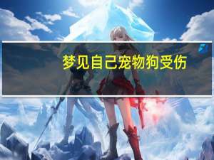 梦见自己宠物狗受伤