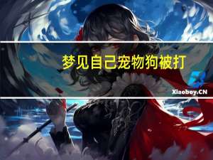 梦见自己宠物狗被打