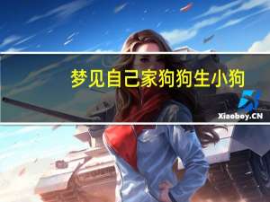 梦见自己家狗狗生小狗