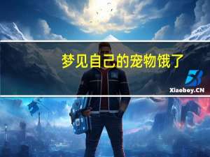 梦见自己的宠物饿了