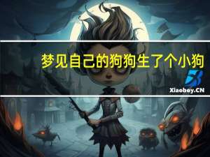 梦见自己的狗狗生了个小狗