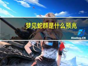 梦见蛇群是什么预兆