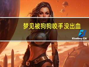 梦见被狗狗咬手没出血
