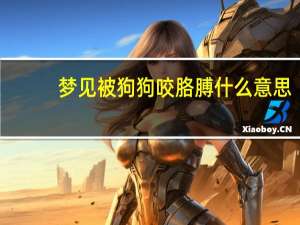 梦见被狗狗咬胳膊什么意思