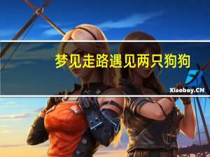 梦见走路遇见两只狗狗