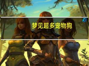 梦见超多宠物狗