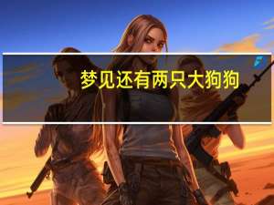 梦见还有两只大狗狗