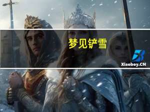 梦见铲雪