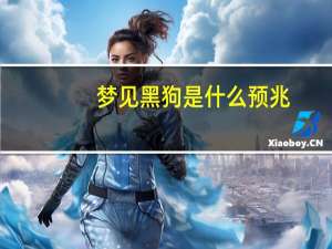 梦见黑狗是什么预兆
