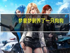 梦里梦到养了一只狗狗
