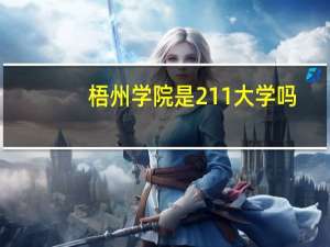 梧州学院是211大学吗