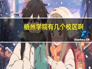梧州学院有几个校区啊
