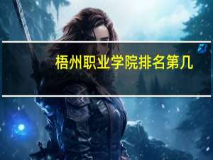 梧州职业学院排名第几