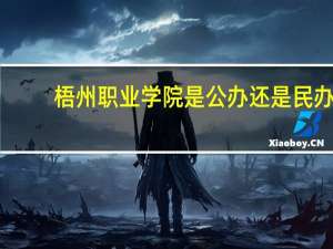 梧州职业学院是公办还是民办