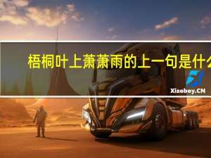 梧桐叶上萧萧雨的上一句是什么