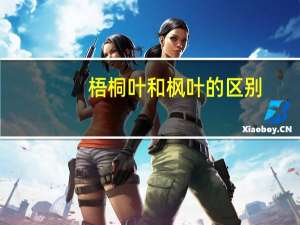 梧桐叶和枫叶的区别