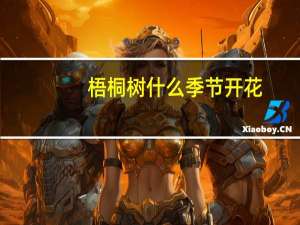 梧桐树什么季节开花