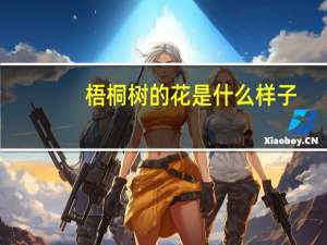 梧桐树的花是什么样子