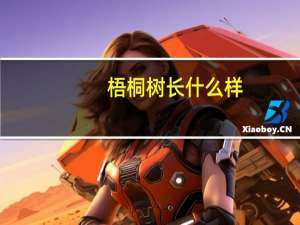 梧桐树长什么样_