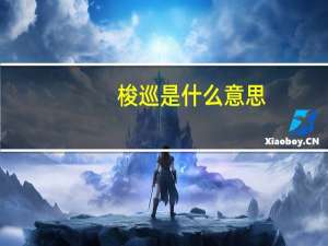 梭巡是什么意思