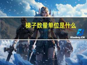 梯子数量单位是什么