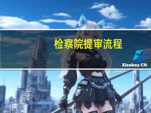 检察院提审流程