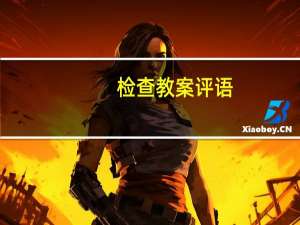 检查教案评语