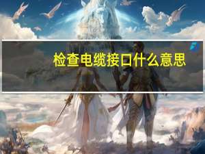 检查电缆接口什么意思