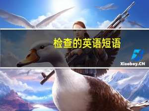 检查的英语短语