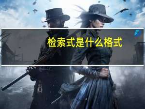 检索式是什么格式（检索式是什么）