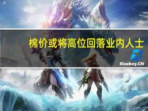 棉价或将高位回落 业内人士：注意加强新棉收购风险防控
