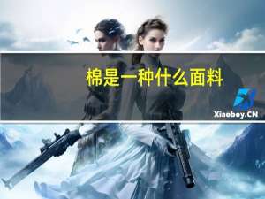 棉是一种什么面料？