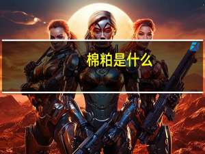 棉粕是什么