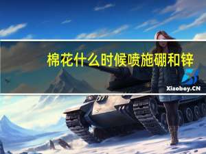 棉花什么时候喷施硼和锌