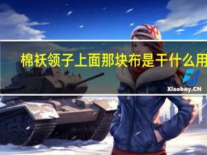 棉袄领子上面那块布是干什么用的