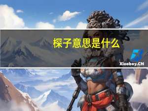 棎子意思是什么