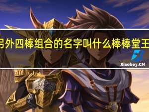 棒棒堂的另外四棒组合的名字叫什么 棒棒堂王子演过的电视剧
