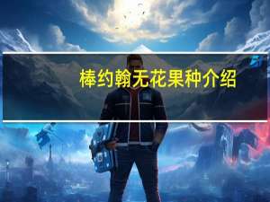 棒约翰无花果种介绍