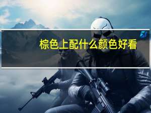 棕色上配什么颜色好看
