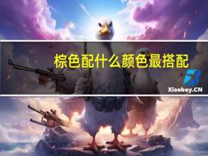 棕色配什么颜色最搭配