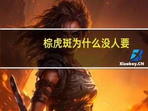 棕虎斑为什么没人要