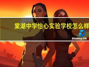 棠湖中学怡心实验学校怎么样