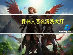森林人怎么清洗大灯