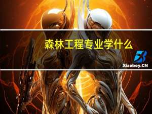 森林工程专业学什么