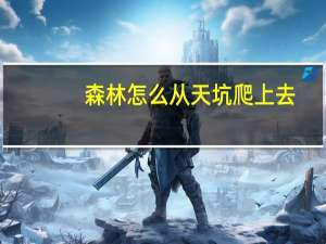 森林怎么从天坑爬上去