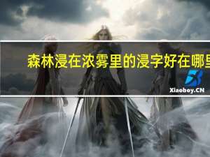 森林浸在浓雾里的浸字好在哪里